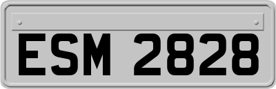 ESM2828