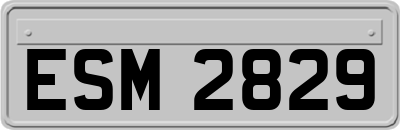 ESM2829