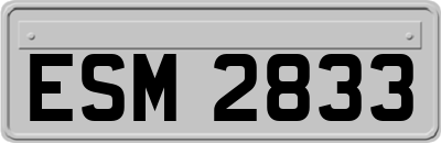 ESM2833