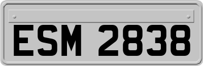 ESM2838