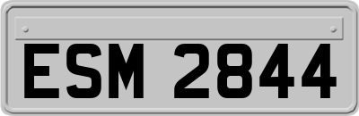ESM2844