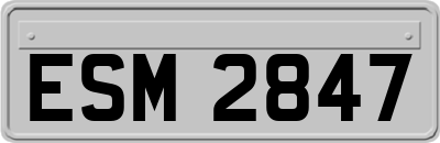 ESM2847