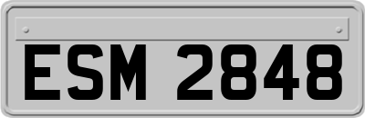 ESM2848