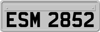 ESM2852