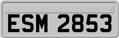 ESM2853