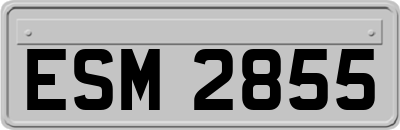 ESM2855