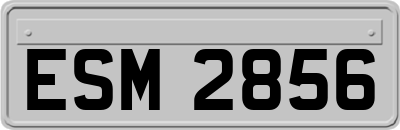 ESM2856