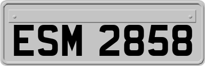 ESM2858
