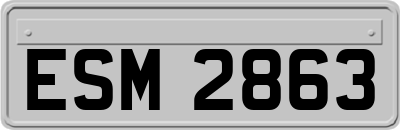ESM2863