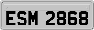 ESM2868