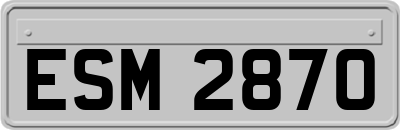 ESM2870
