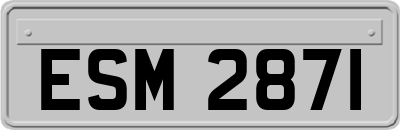 ESM2871