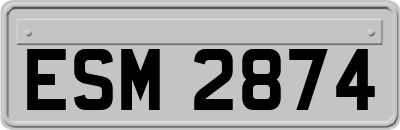 ESM2874