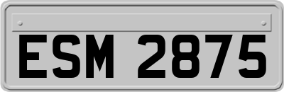 ESM2875