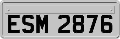 ESM2876