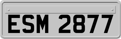 ESM2877