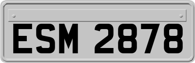 ESM2878