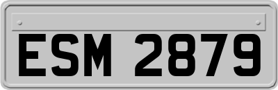 ESM2879