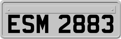ESM2883