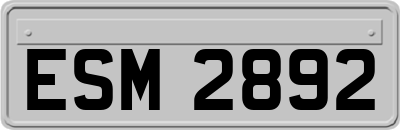 ESM2892