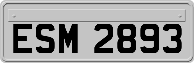 ESM2893