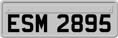 ESM2895