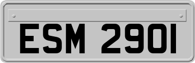 ESM2901