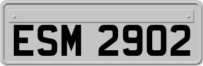 ESM2902