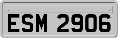 ESM2906