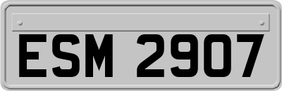 ESM2907