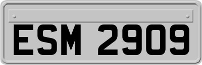 ESM2909
