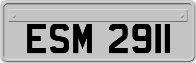 ESM2911