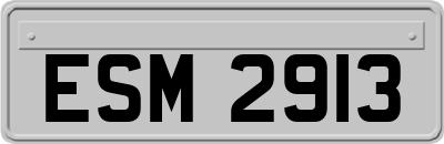 ESM2913