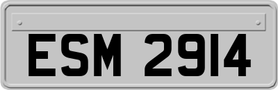 ESM2914