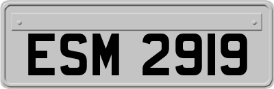ESM2919