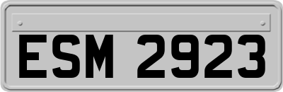 ESM2923