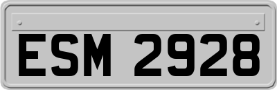 ESM2928