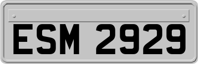 ESM2929