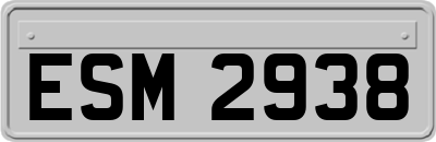 ESM2938