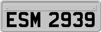 ESM2939