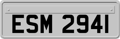 ESM2941