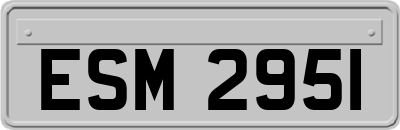 ESM2951