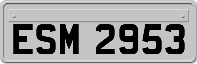 ESM2953