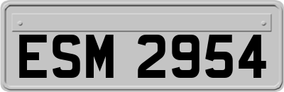 ESM2954