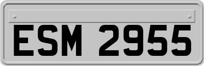 ESM2955