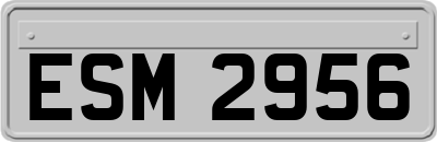 ESM2956