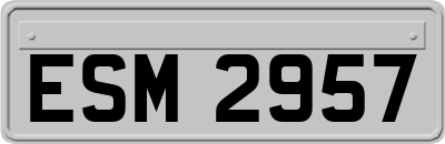 ESM2957