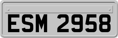 ESM2958