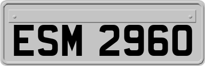 ESM2960