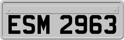 ESM2963